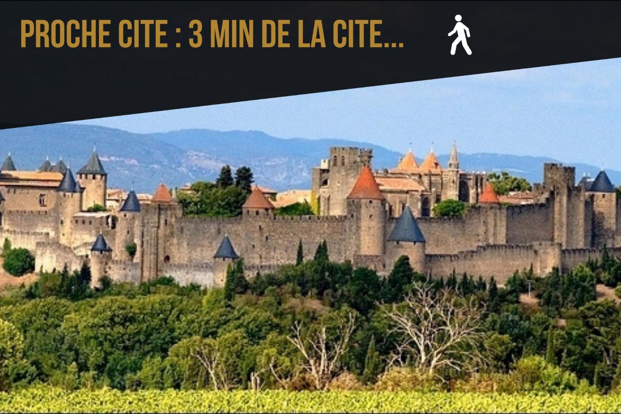 L'Or Vert, Castle View, Private Parking, Air Conditioner, Netflix, 160M From Medieval Town Carcassonne Ngoại thất bức ảnh